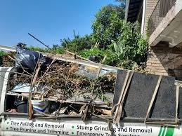 Best Residential Junk Removal in Marshallville, GA